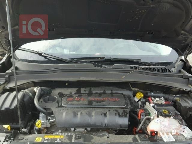 جيب رينيجيد